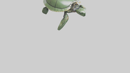 3D model Robot version of a sea turtle model VR / AR / low-poly
