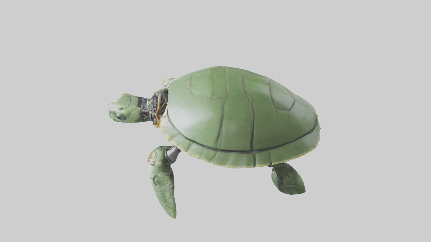 3D model Robot version of a sea turtle model VR / AR / low-poly