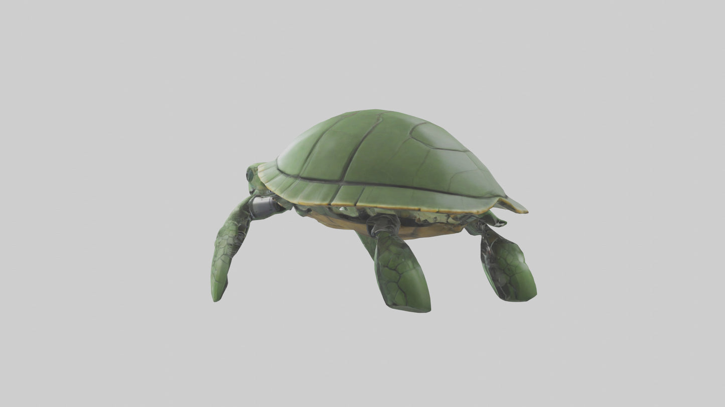 3D model Robot version of a sea turtle model VR / AR / low-poly