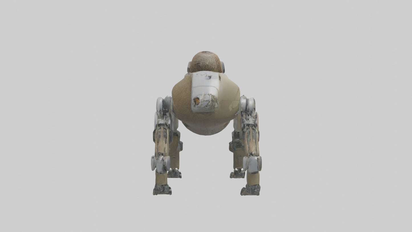 3D model Robot version of a sloth model VR / AR / low-poly