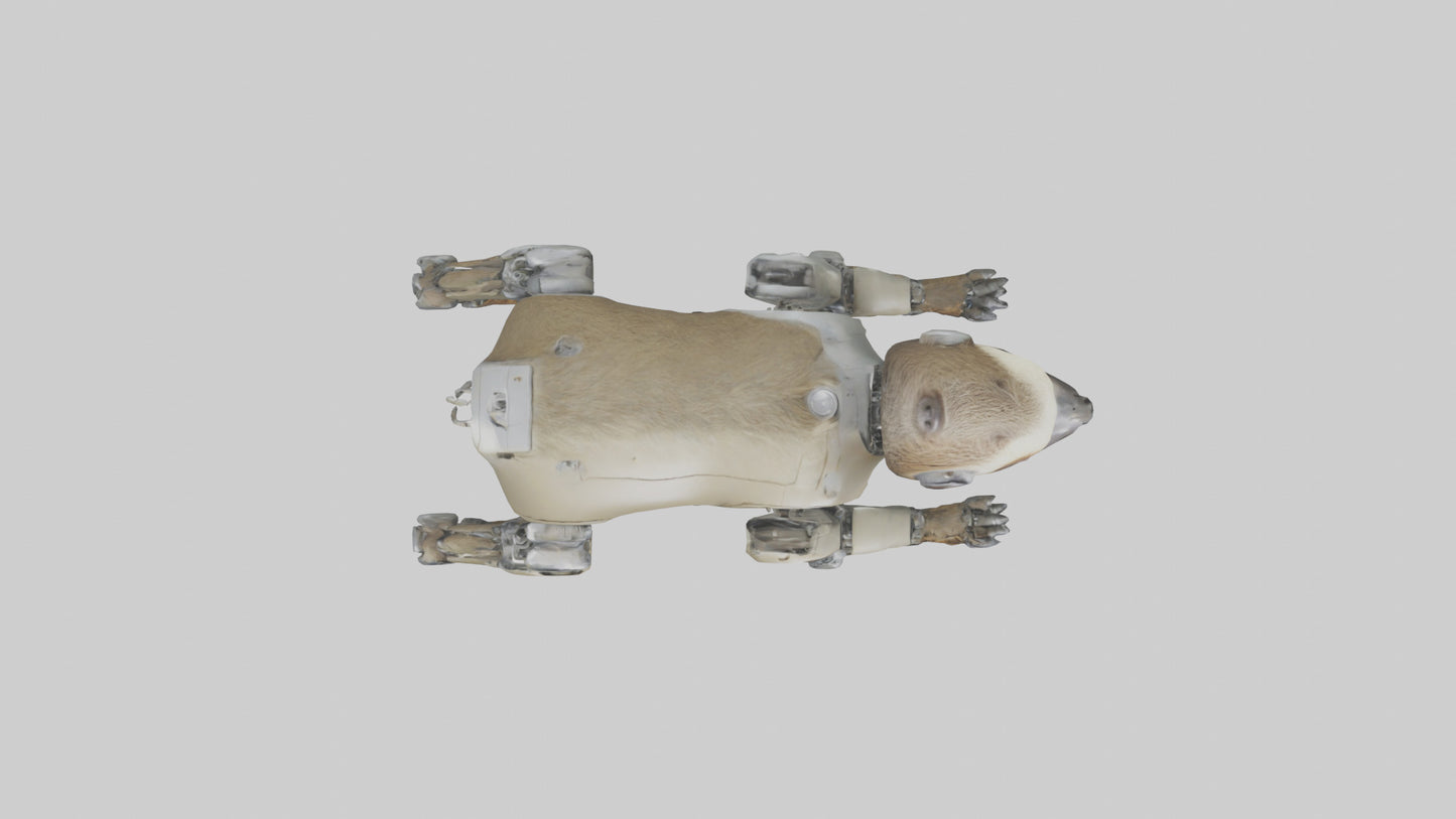 3D model Robot version of a sloth model VR / AR / low-poly