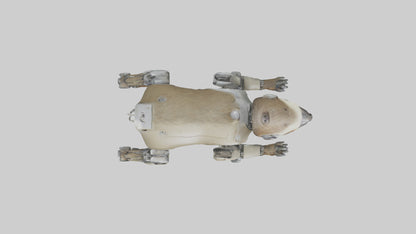 3D model Robot version of a sloth model VR / AR / low-poly