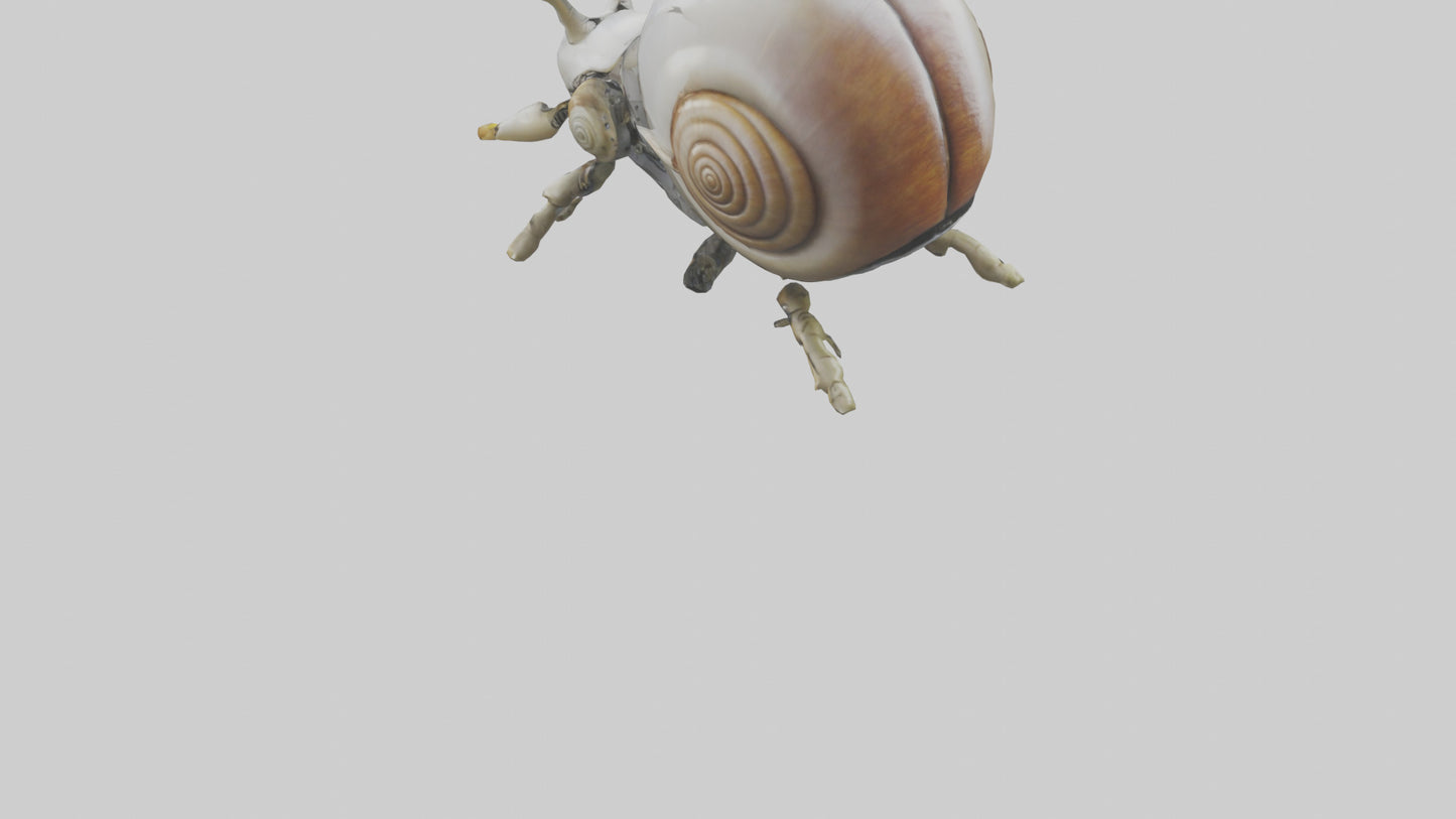 3D model Robot version of a snail model VR / AR / low-poly