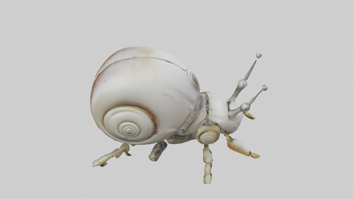3D model Robot version of a snail model VR / AR / low-poly