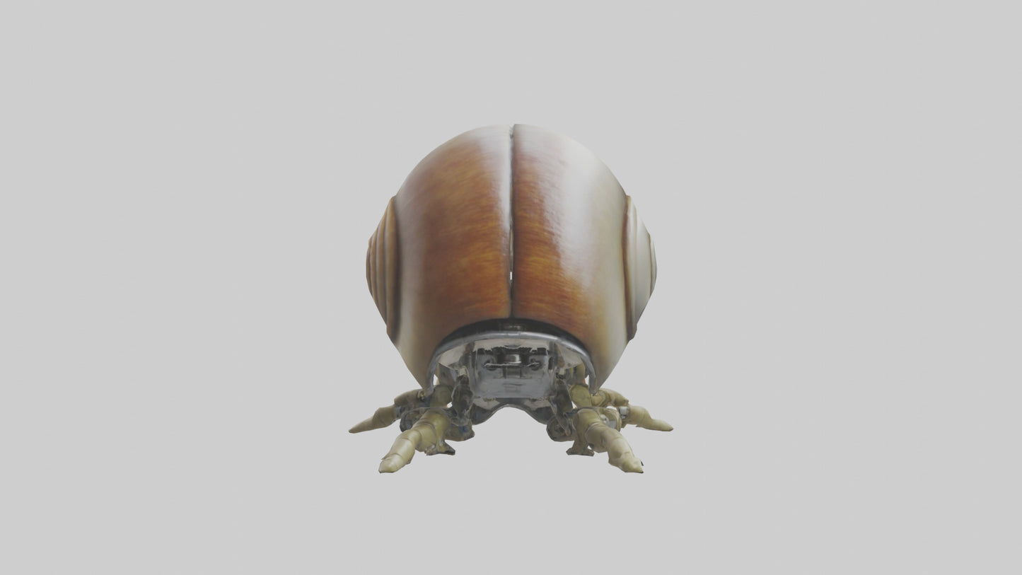 3D model Robot version of a snail model VR / AR / low-poly