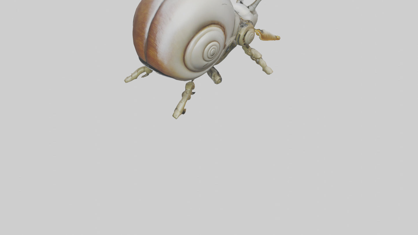 3D model Robot version of a snail model VR / AR / low-poly