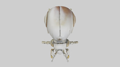 3D model Robot version of a snail model VR / AR / low-poly