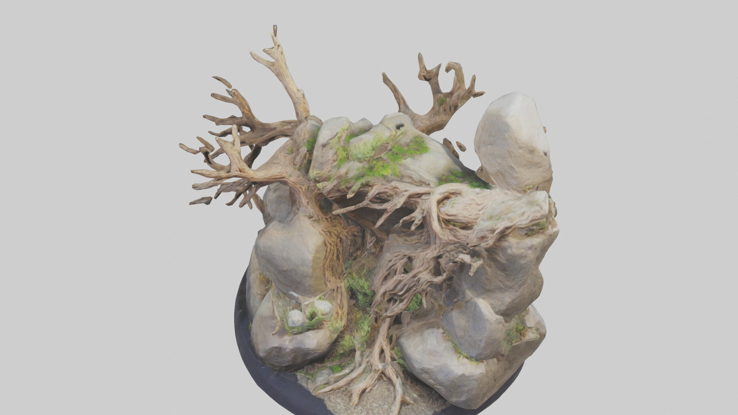 3D model Rock and Root Sculpture model VR / AR / low-poly