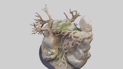 3D model Rock and Root Sculpture model VR / AR / low-poly