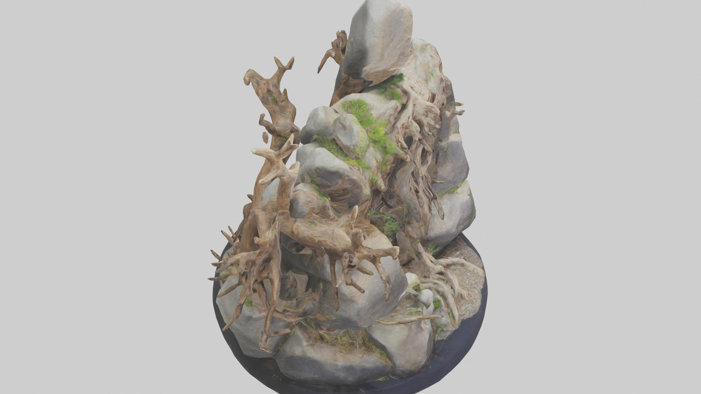 3D model Rock and Root Sculpture model VR / AR / low-poly