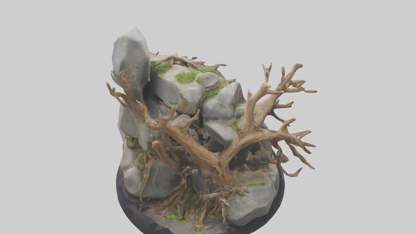 3D model Rock and Root Sculpture model VR / AR / low-poly