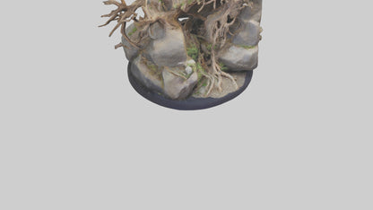 3D model Rock and Root Sculpture model VR / AR / low-poly