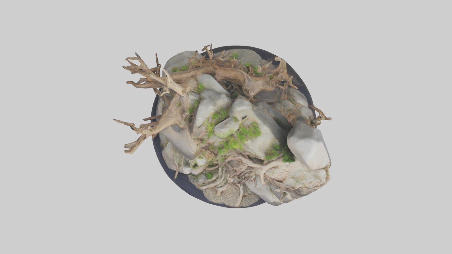 3D model Rock and Root Sculpture model VR / AR / low-poly