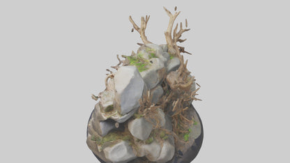 3D model Rock and Root Sculpture model VR / AR / low-poly
