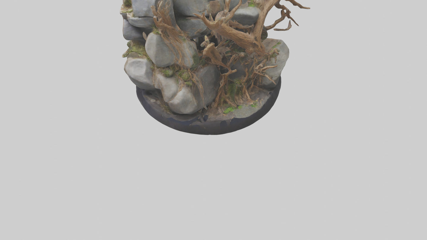 3D model Rock and Root Sculpture model VR / AR / low-poly