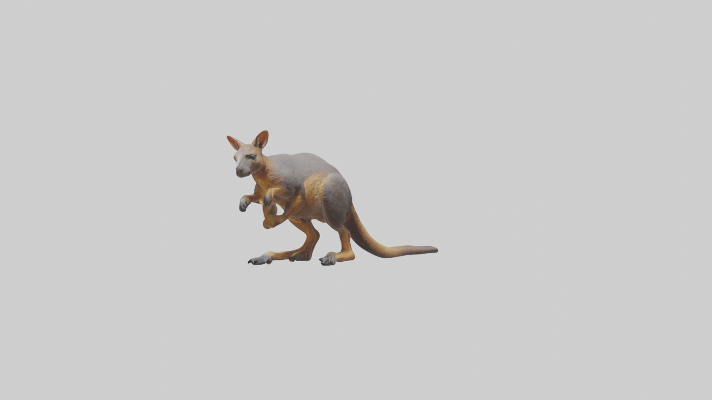 Rock Wallaby climbing model 3D model