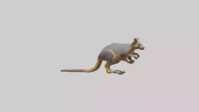 Rock Wallaby climbing model 3D model
