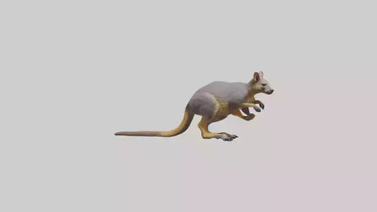Rock Wallaby climbing model 3D model