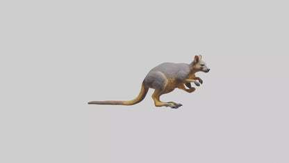 Rock Wallaby climbing model 3D model