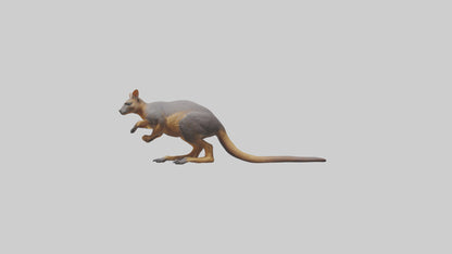 Rock Wallaby climbing model 3D model