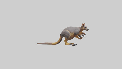 Rock Wallaby climbing model 3D model