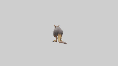 Rock Wallaby climbing model 3D model