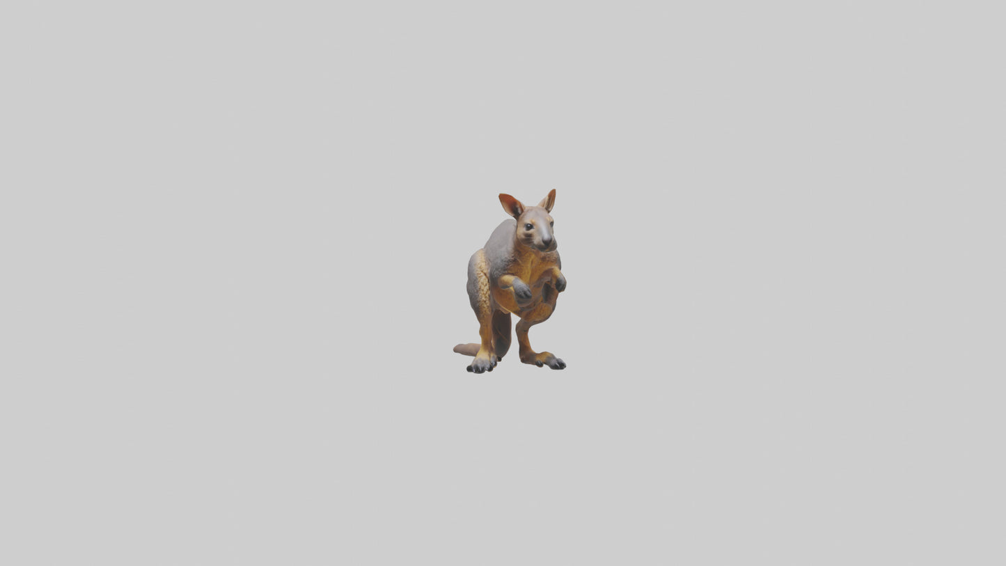 Rock Wallaby climbing model 3D model