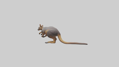 Rock Wallaby climbing model 3D model