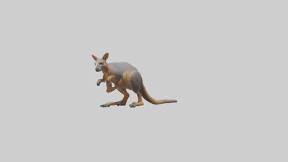 Rock Wallaby climbing model 3D model