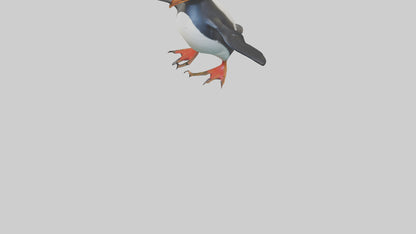 Rockhopper Penguin hopping model 3D model
