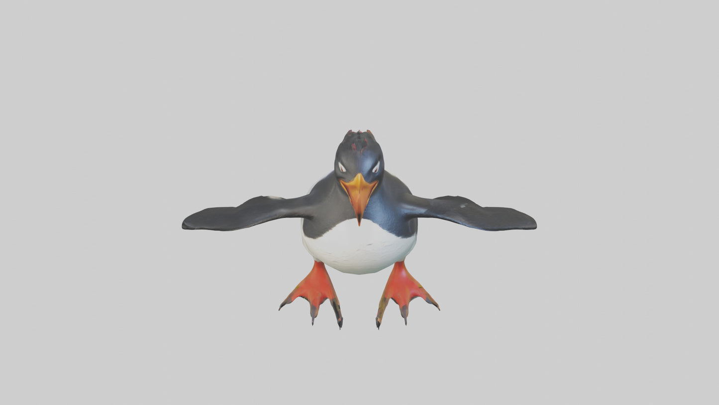 Rockhopper Penguin hopping model 3D model