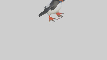 Rockhopper Penguin hopping model 3D model