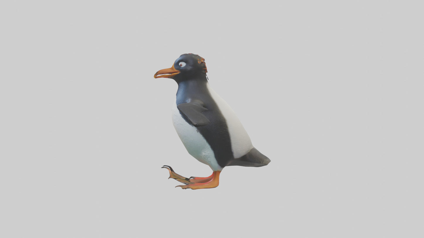 Rockhopper Penguin hopping model 3D model