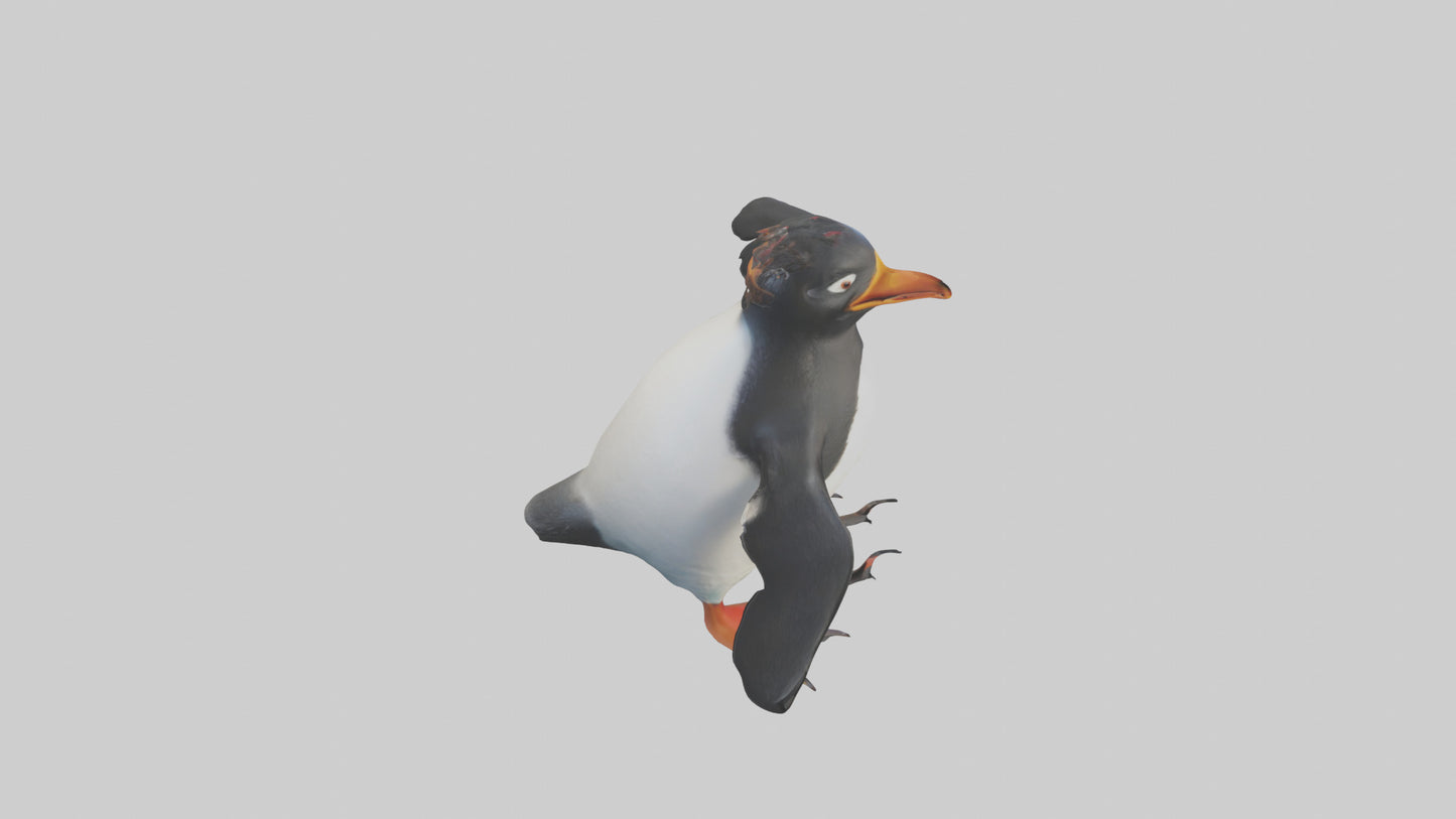 Rockhopper Penguin hopping model 3D model