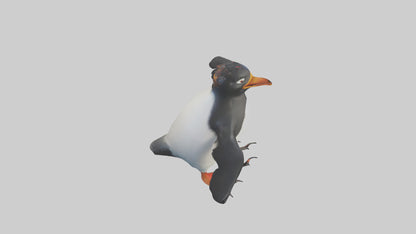 Rockhopper Penguin hopping model 3D model