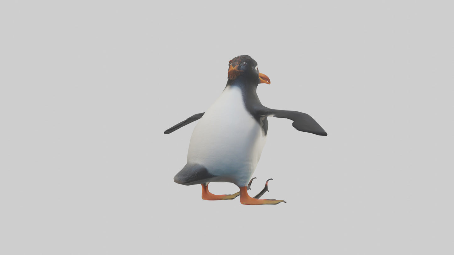 Rockhopper Penguin hopping model 3D model