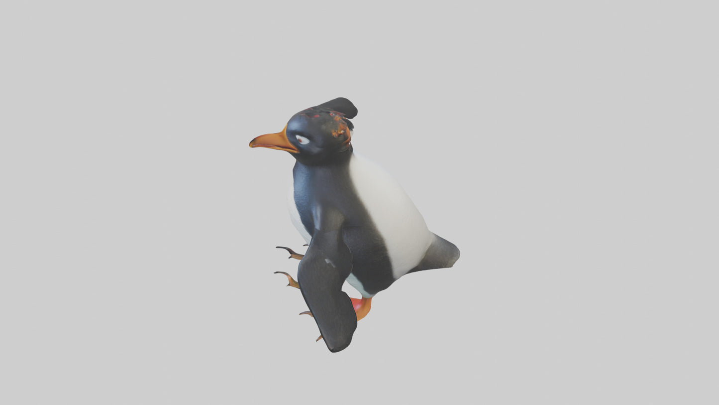 Rockhopper Penguin hopping model 3D model