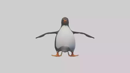 Rockhopper Penguin hopping model 3D model