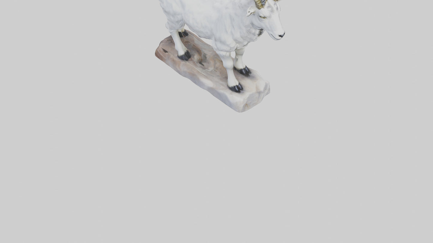 3D model Rocky Mountain Goat statue model VR / AR / low-poly