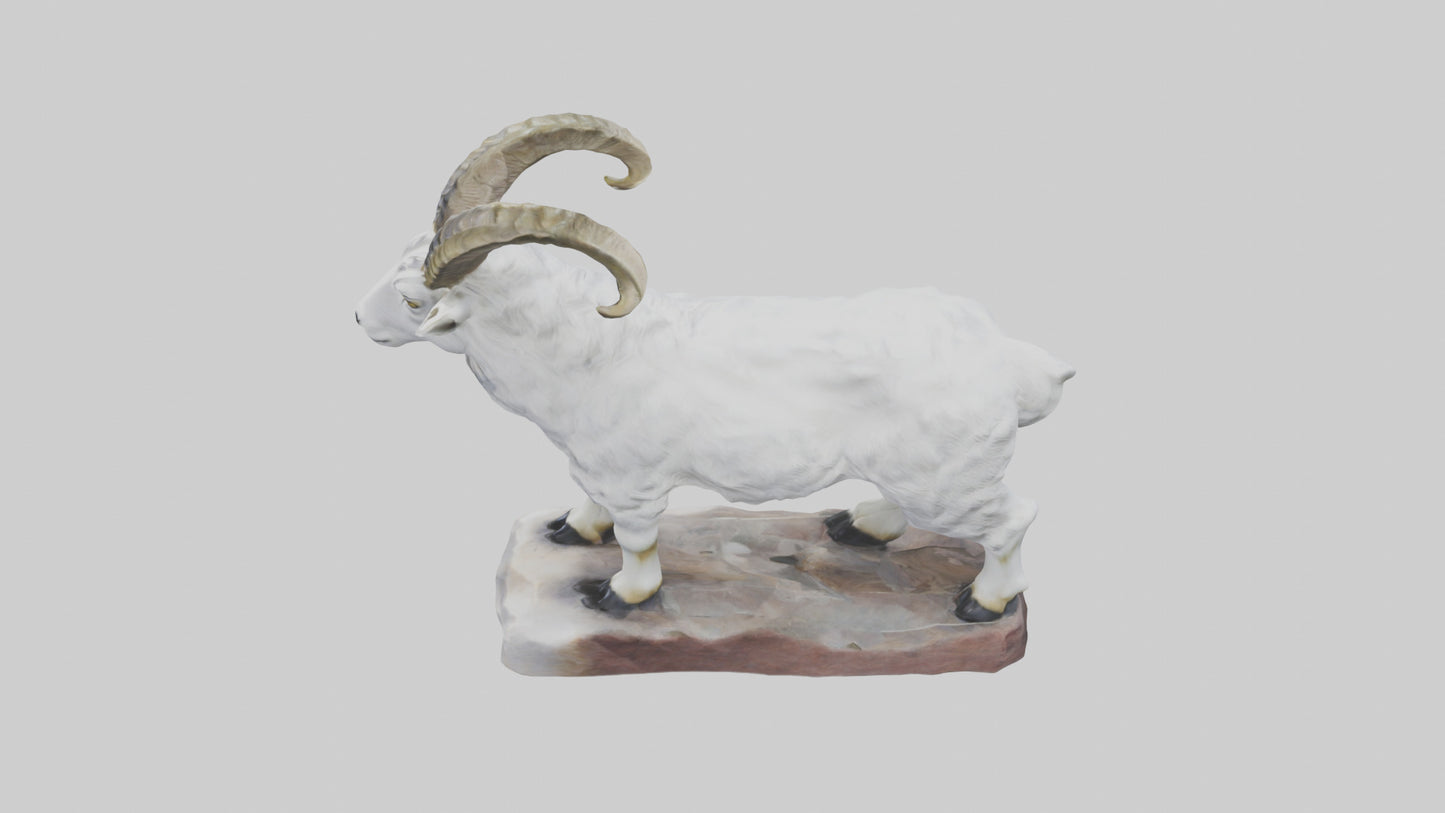 3D model Rocky Mountain Goat statue model VR / AR / low-poly