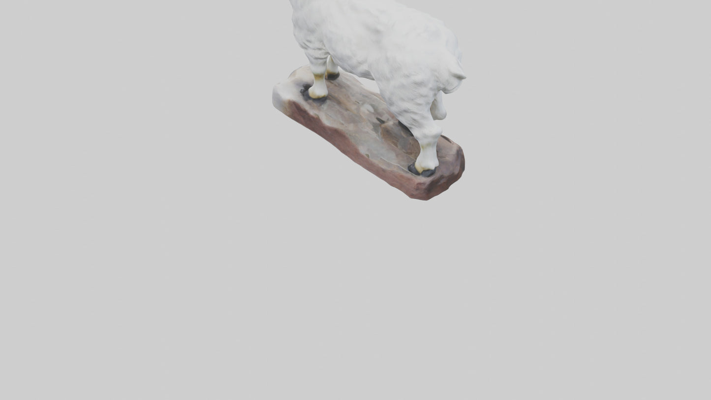 3D model Rocky Mountain Goat statue model VR / AR / low-poly