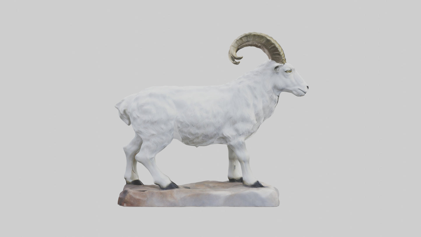 3D model Rocky Mountain Goat statue model VR / AR / low-poly