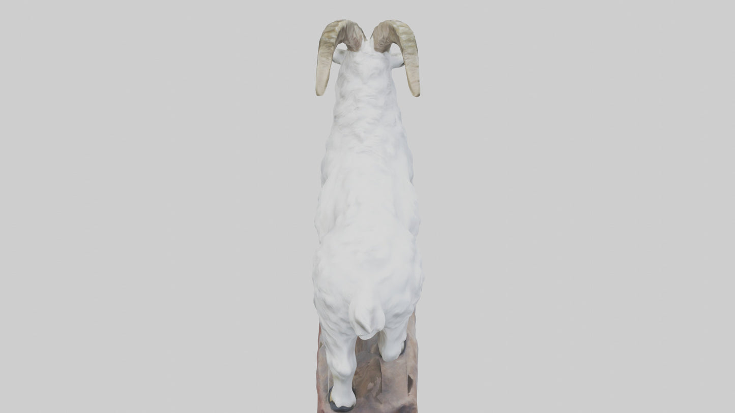 3D model Rocky Mountain Goat statue model VR / AR / low-poly
