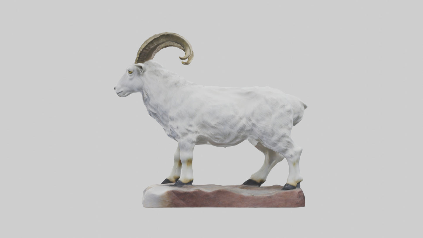 3D model Rocky Mountain Goat statue model VR / AR / low-poly