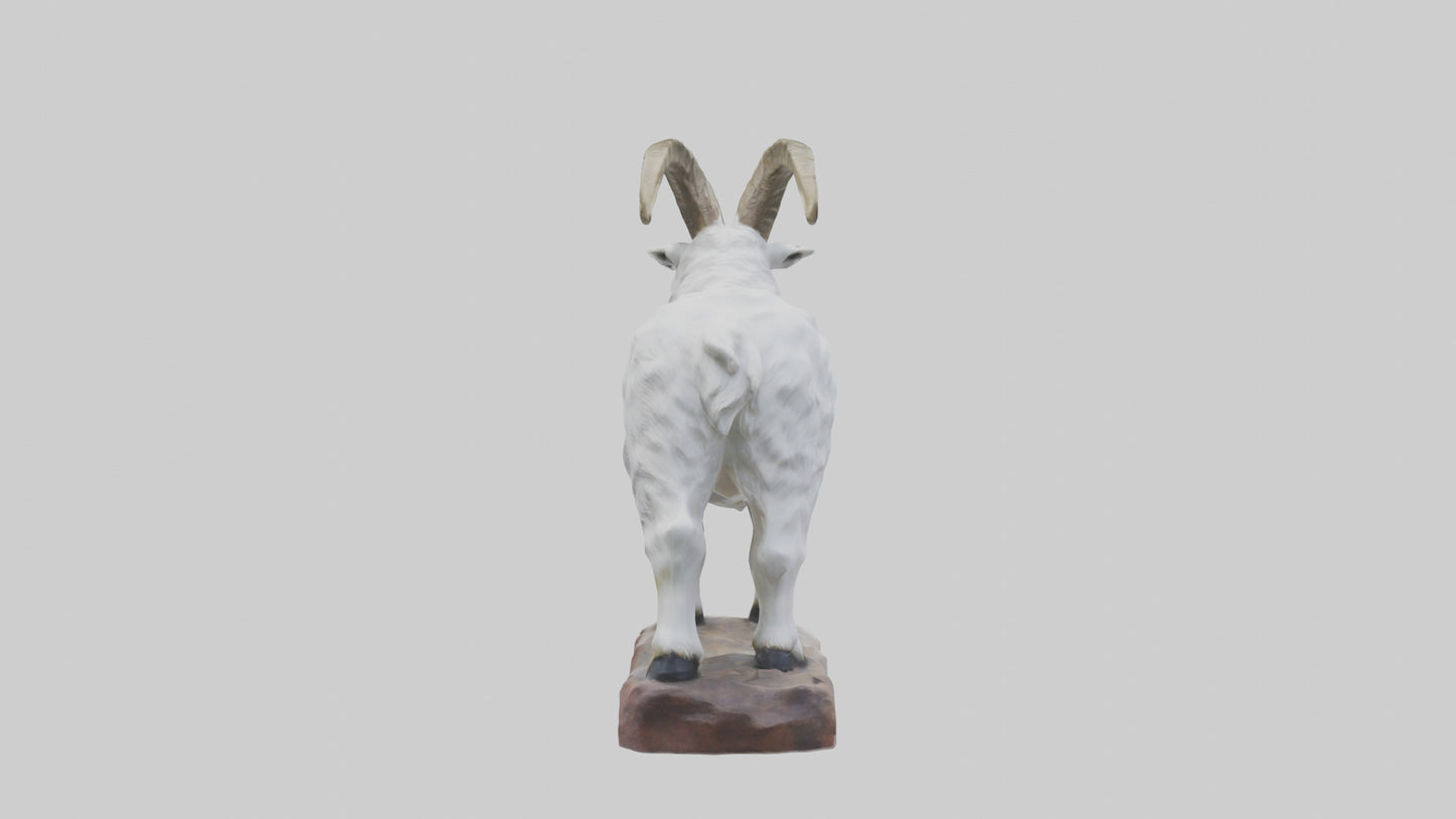 3D model Rocky Mountain Goat statue model VR / AR / low-poly