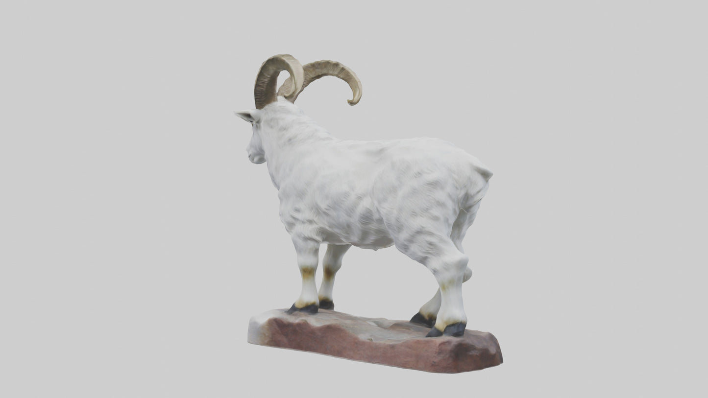 3D model Rocky Mountain Goat statue model VR / AR / low-poly