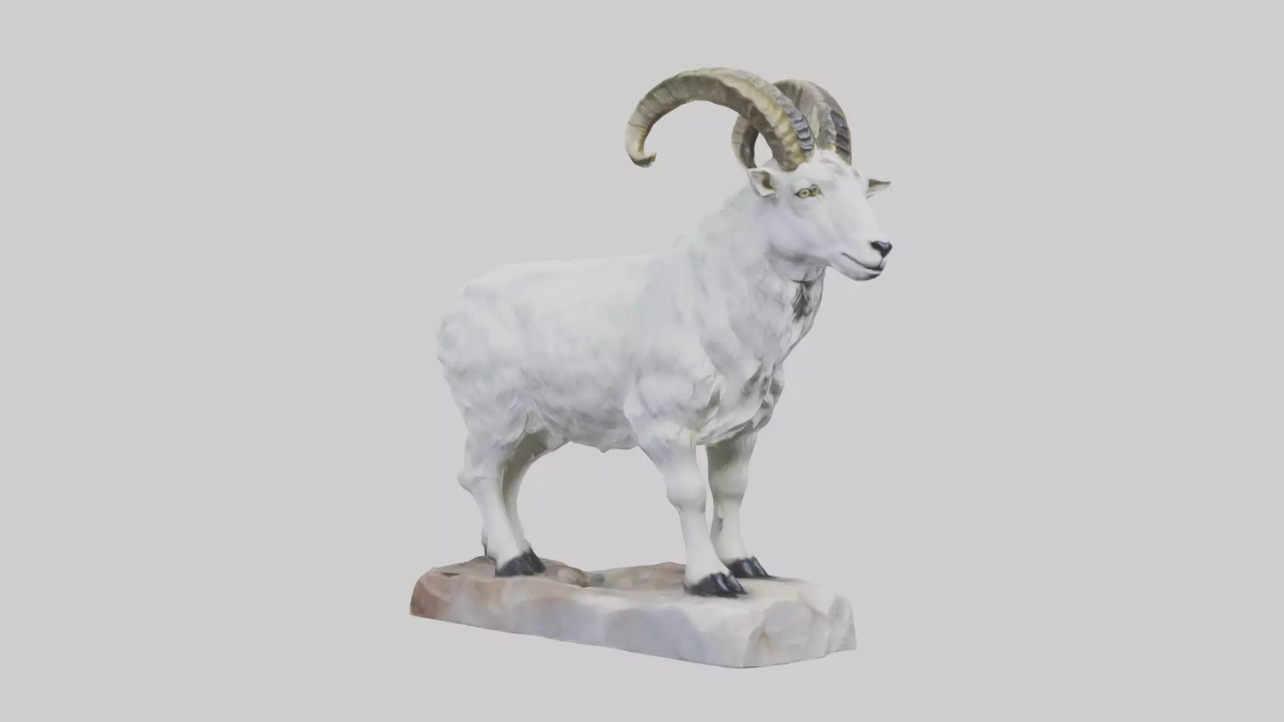 3D model Rocky Mountain Goat statue model VR / AR / low-poly