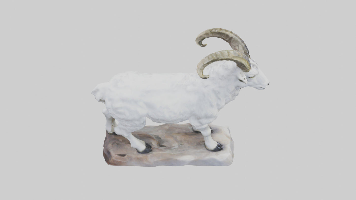 3D model Rocky Mountain Goat statue model VR / AR / low-poly