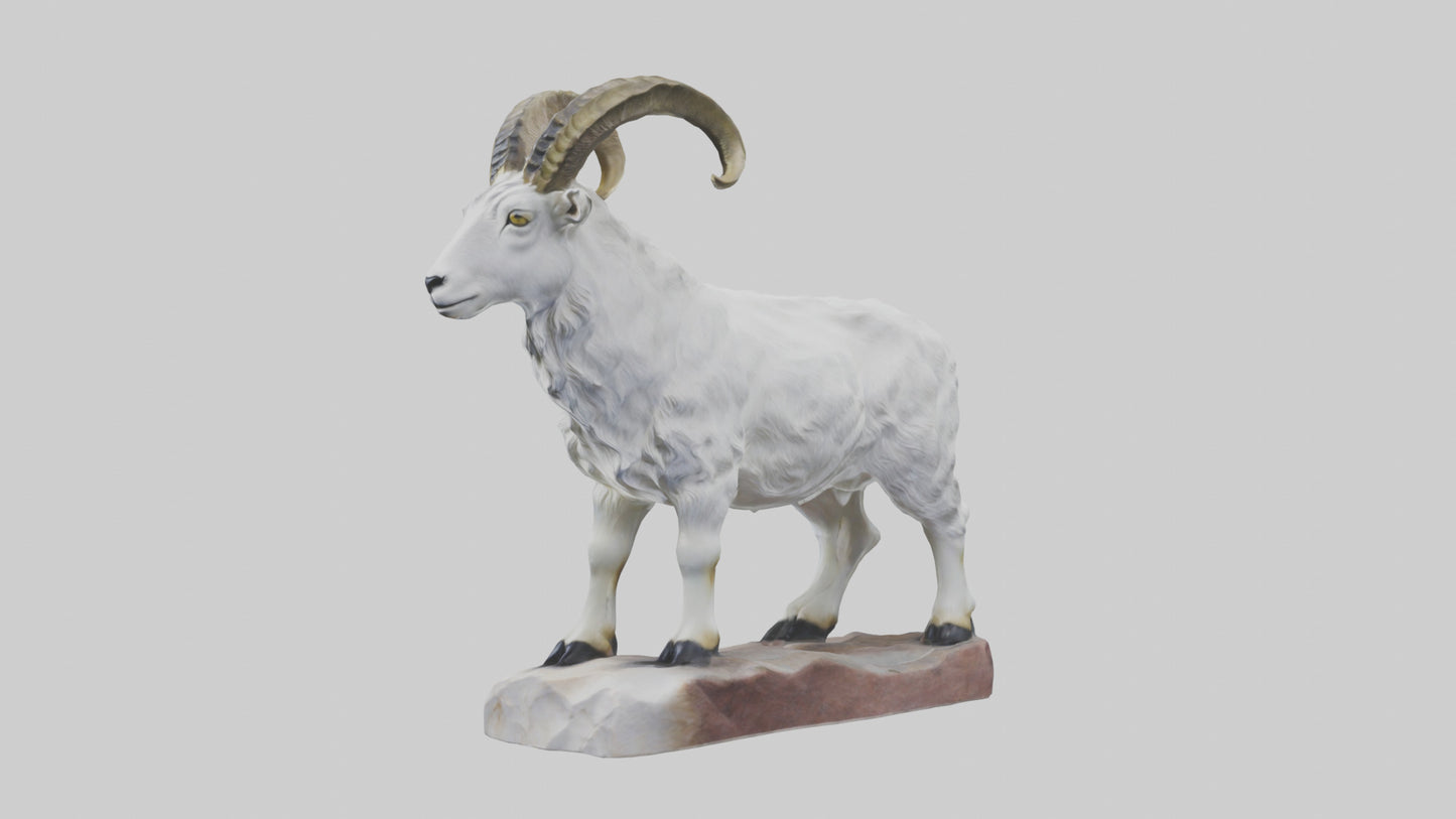 3D model Rocky Mountain Goat statue model VR / AR / low-poly