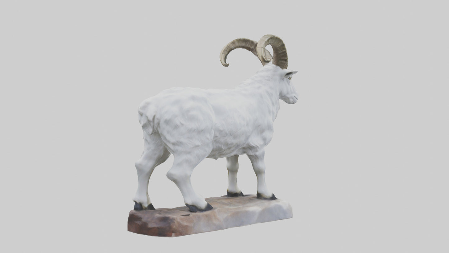3D model Rocky Mountain Goat statue model VR / AR / low-poly